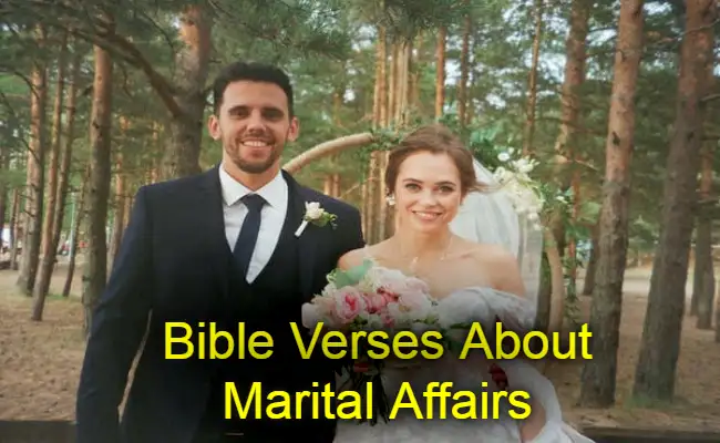 Bible Verses About Marital Affairs