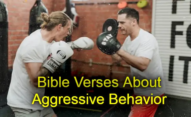 Bible Verses About Aggressive Behavior