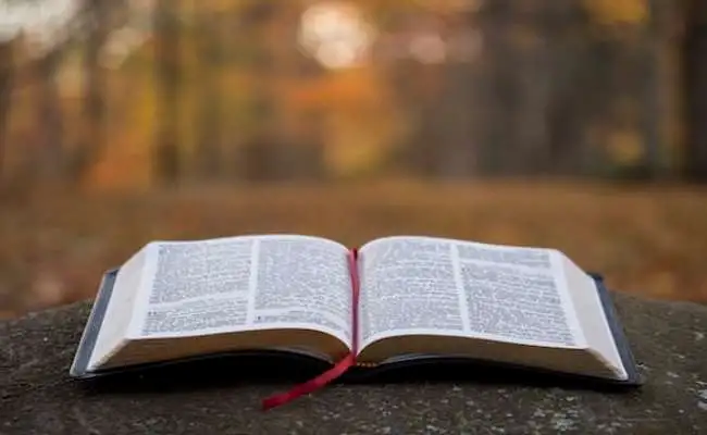 Bible Verses About The Majesty Of God's Creation